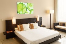 Obrazy do kuchyne - Zelené limetky zs367