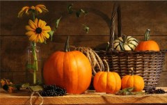 Obraz na stenu ZS - bez pomeru strán