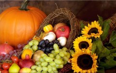 Obraz na stenu ZS - bez pomeru strán