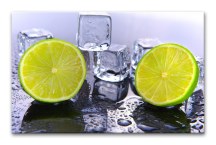Obraz Limetky zs371