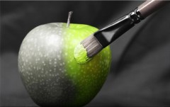 Obraz na stenu ZS - bez pomeru strán