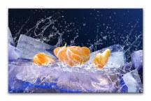 Obraz Mandarinka zs379