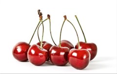 Obraz na stenu ZS - bez pomeru strán