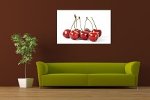 Obrazy ovocie zs388