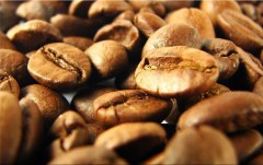 Obraz na stenu ZS - bez pomeru strán