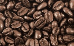 Obraz na stenu ZS - bez pomeru strán