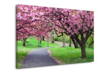 Obraz Rozkvitnutý Strom zs394