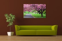 Obraz Rozkvitnutý Strom zs394
