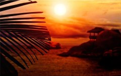 Obraz na stenu ZS - bez pomeru strán