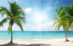 Obraz na stenu ZS - bez pomeru strán