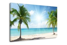 Obraz Karibik - Kokosové Palmy zs399