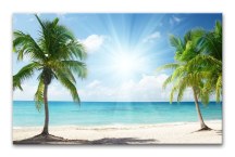 Obraz Karibik - Kokosové Palmy zs399