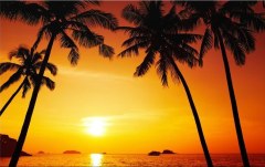 Obraz na stenu ZS - bez pomeru strán