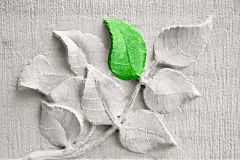 Obraz na stenu ZS - bez pomeru strán