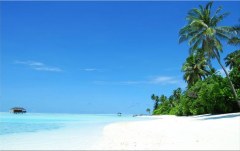 Obraz na stenu ZS - bez pomeru strán