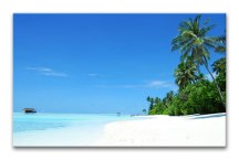 Obraz Tropická Pláž zs401