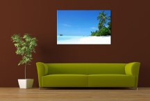 Obraz Tropická Pláž zs401
