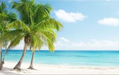 Obraz na stenu ZS - bez pomeru strán