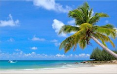 Obraz na stenu ZS - bez pomeru strán