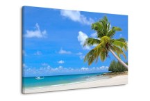 Obraz Palma a Pláž zs404