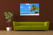 Obraz Palma a Pláž zs404