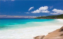 Obraz na stenu ZS - bez pomeru strán