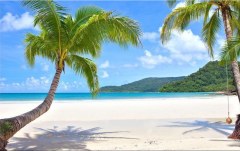 Obraz na stenu ZS - bez pomeru strán