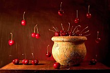 Obrazy s Kvetmi zs4068