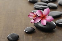 Obraz na stenu Spa zs4080