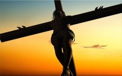 Obraz na stenu ZS - bez pomeru strán