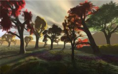 Obraz na stenu ZS - bez pomeru strán