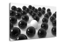 Čierno-biele Obrazy zs433