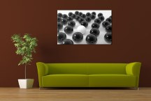 Čierno-biele Obrazy zs433