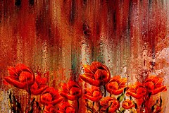 Obraz na stenu ZS - bez pomeru strán