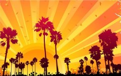 Obraz na stenu ZS - bez pomeru strán