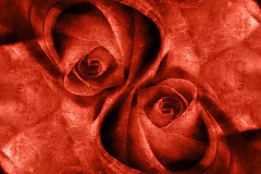 Obraz na stenu ZS - bez pomeru strán