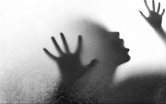 Obraz na stenu ZS - bez pomeru strán