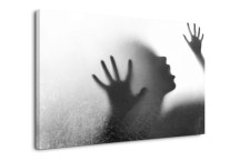 Štýlový obraz Tieň zs446
