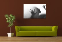 Štýlový obraz Tieň zs446