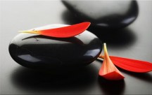 Feng shui Obrazy - Čierne kamene a červené lupienky zs453