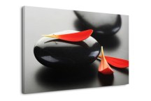 Feng shui Obrazy - Čierne kamene a červené lupienky zs453