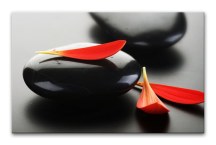 Feng shui Obrazy - Čierne kamene a červené lupienky zs453