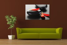 Feng shui Obrazy - Čierne kamene a červené lupienky zs453