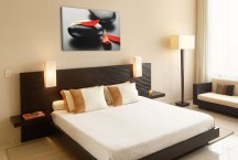 Feng shui Obrazy - Čierne kamene a červené lupienky zs453
