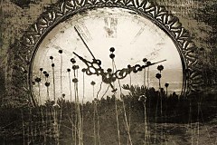 Obraz na stenu ZS - bez pomeru strán