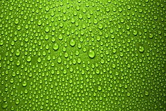 Obraz na stenu ZS - bez pomeru strán