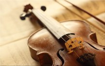 Obraz - Husle a sláčik zs47