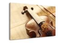 Obraz - Husle a sláčik zs47