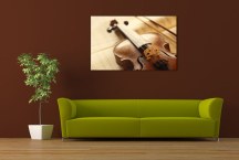Obraz - Husle a sláčik zs47