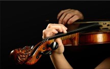 Fotoobraz - Huslista zs50